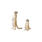 ANIA Animal Pack MEERKATS (Mother & Pup) Toy Playset Figures TOMY Ages 3+