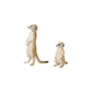 ANIA Animal Pack MEERKATS (Mother & Pup) Toy Playset Figures TOMY Ages 3+